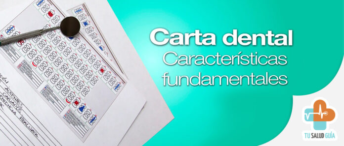 Carta dental caracteristicas fundamentales