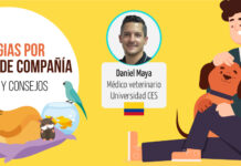 Alergias por animales de compañía – Causas y consejos