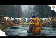 Frases de bienestar para acompañar una pausa de meditación Thumbnail del video de Tu Salud Guía pKFgY1PNwf8